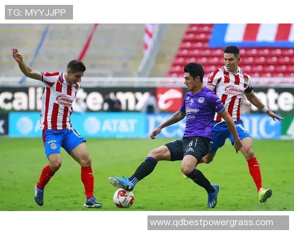 圣路易斯竞技对阵马萨特兰精彩直播全程回顾与分析