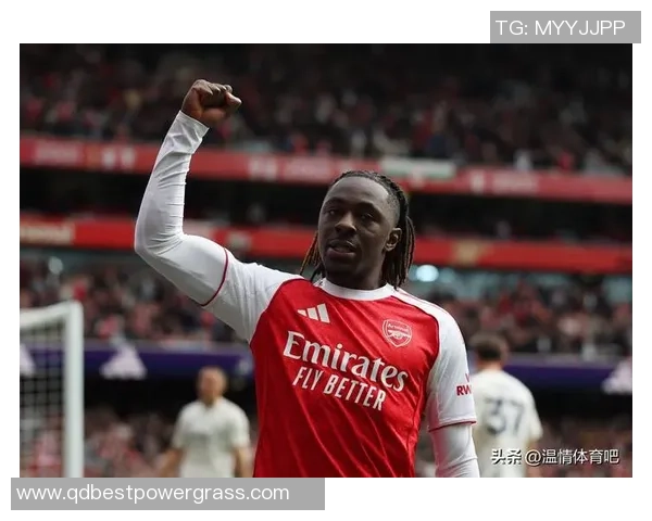 前英超球员：我不认为阿森纳会夺冠，城军车等队会参加最终竞赛