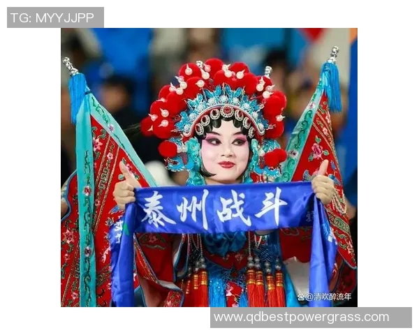 泰州举办英豪大会，给苏超英豪颁奖